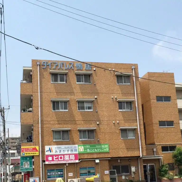 ダイアパレス鴨居 外観