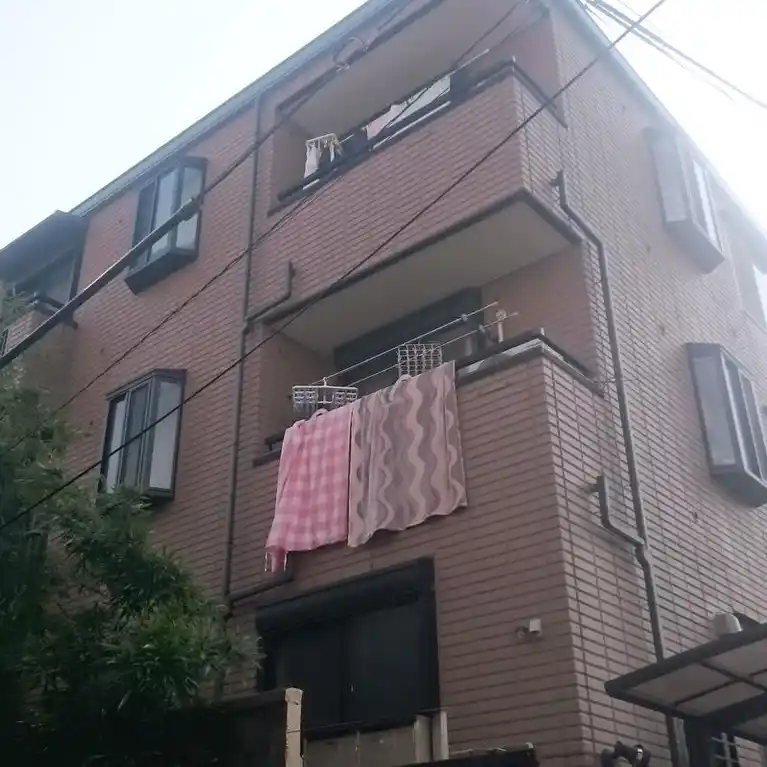 サバイディ 外観