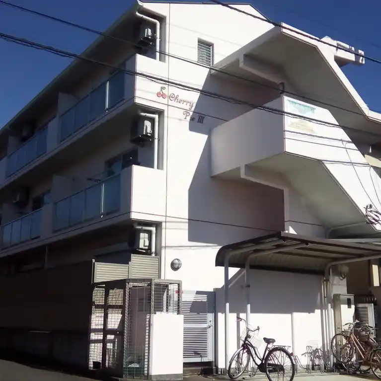 チェリーパイ3