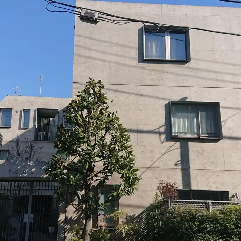 yotsuya tenera
