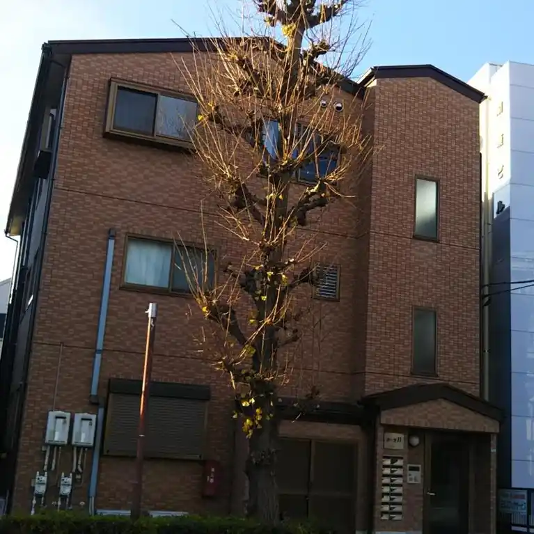 カーサ11 外観
