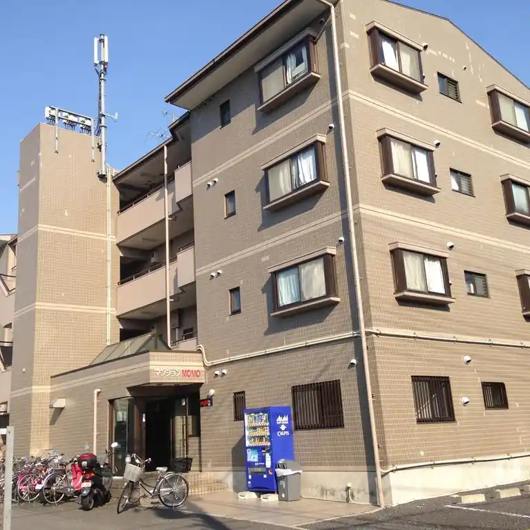 MOMO5 外観