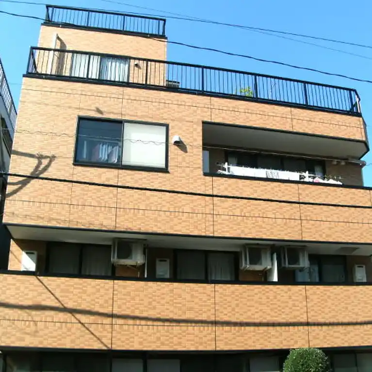 クレステッドオオイ 外観