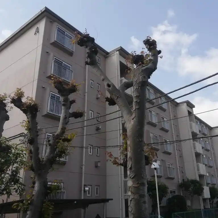 京王山田マンションA棟