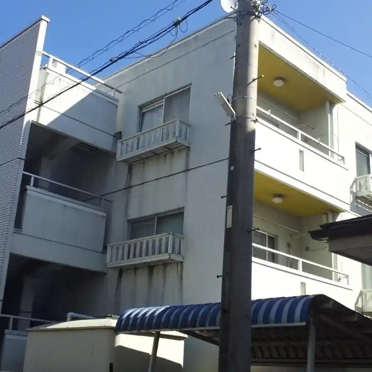 ハイムトータス