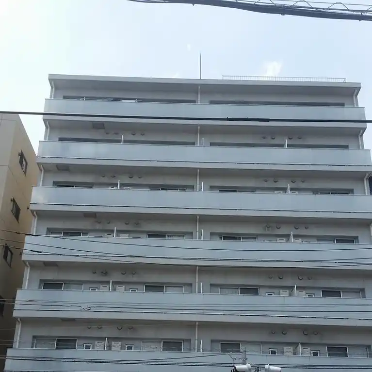 NEXUSパイン
