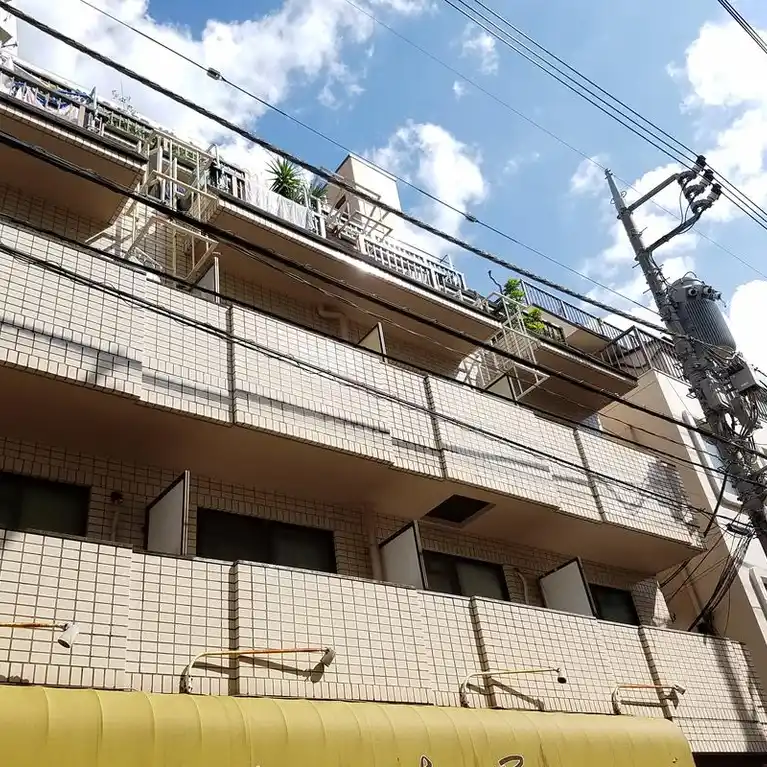 アイランドコジマ