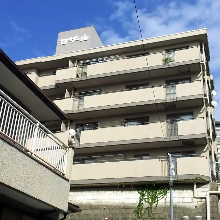 セザール大倉山 外観