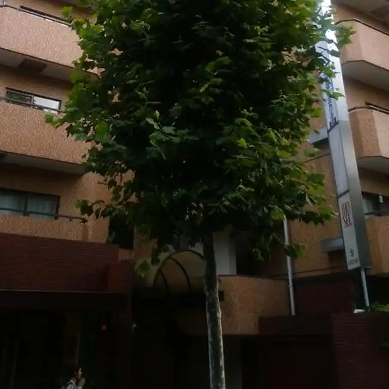 代々木伊藤ローヤルコーポ 外観