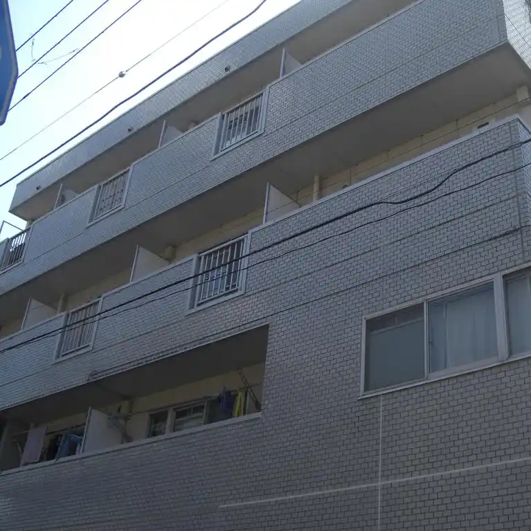 ESTATE Y