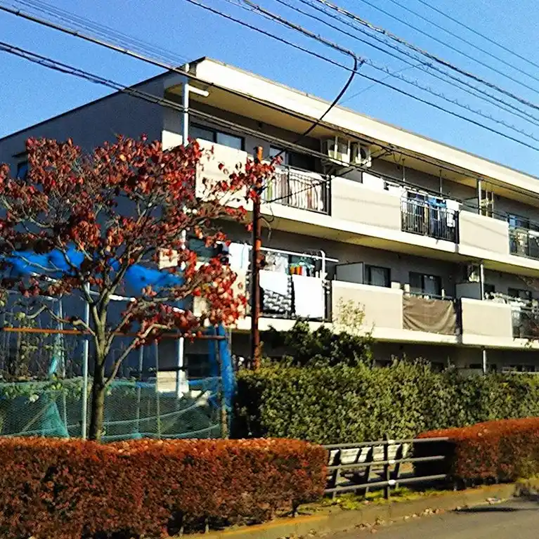 アムール 外観
