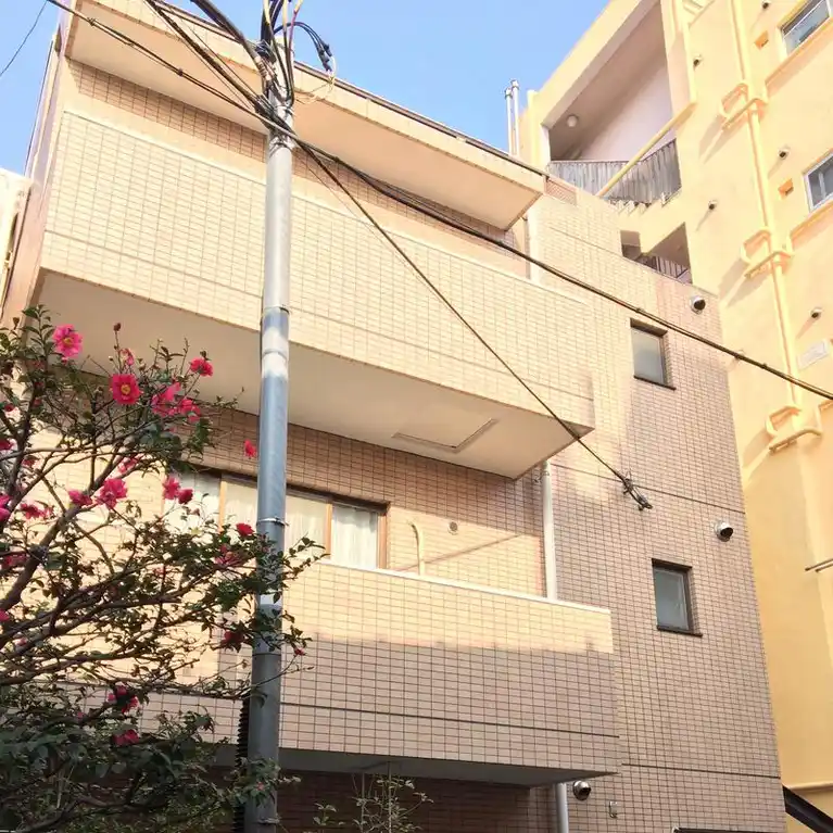 NS谷中