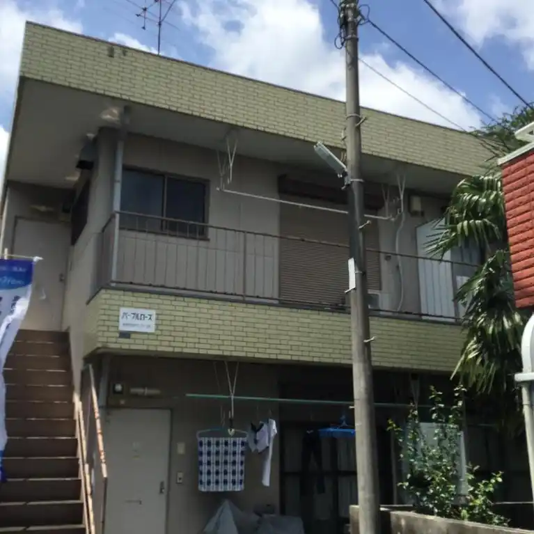 パープルローズ
