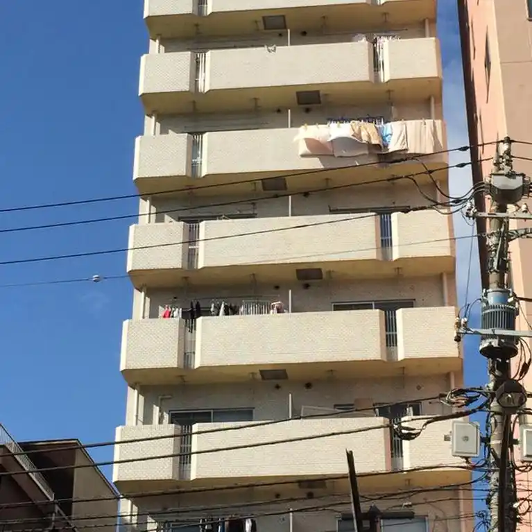 ダイアパレス錦糸町第2 外観