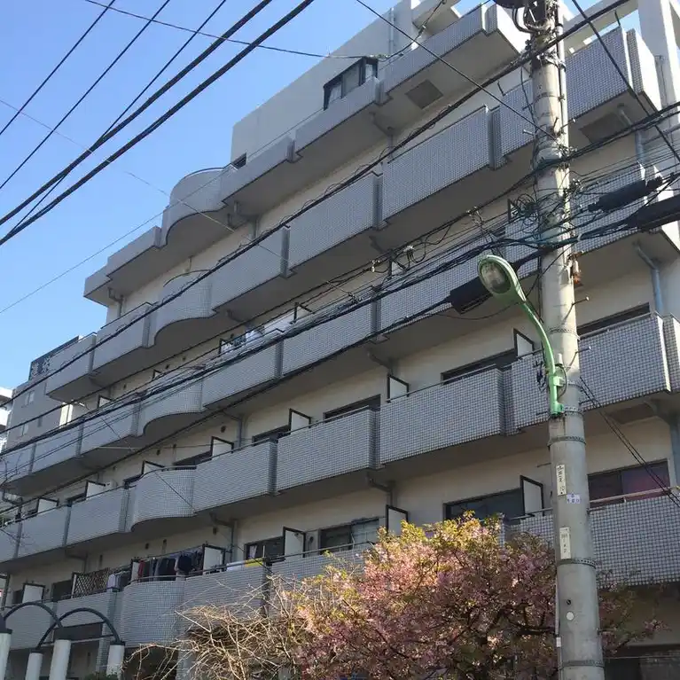 アドニスシマダ