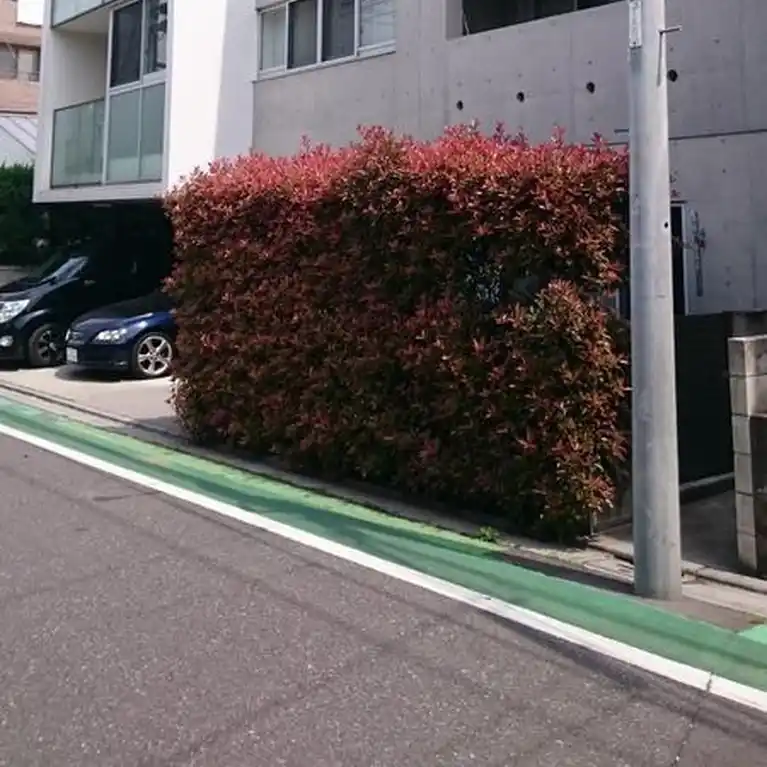 FLAT CUBE 外観