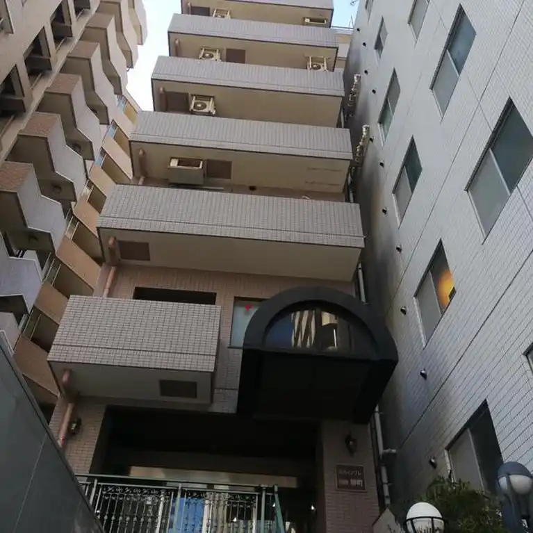 スカイノブレ川崎柳町