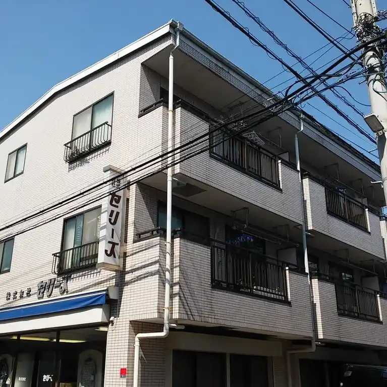 メゾンドセリーズ東館 外観
