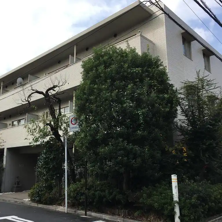 comfort 外観