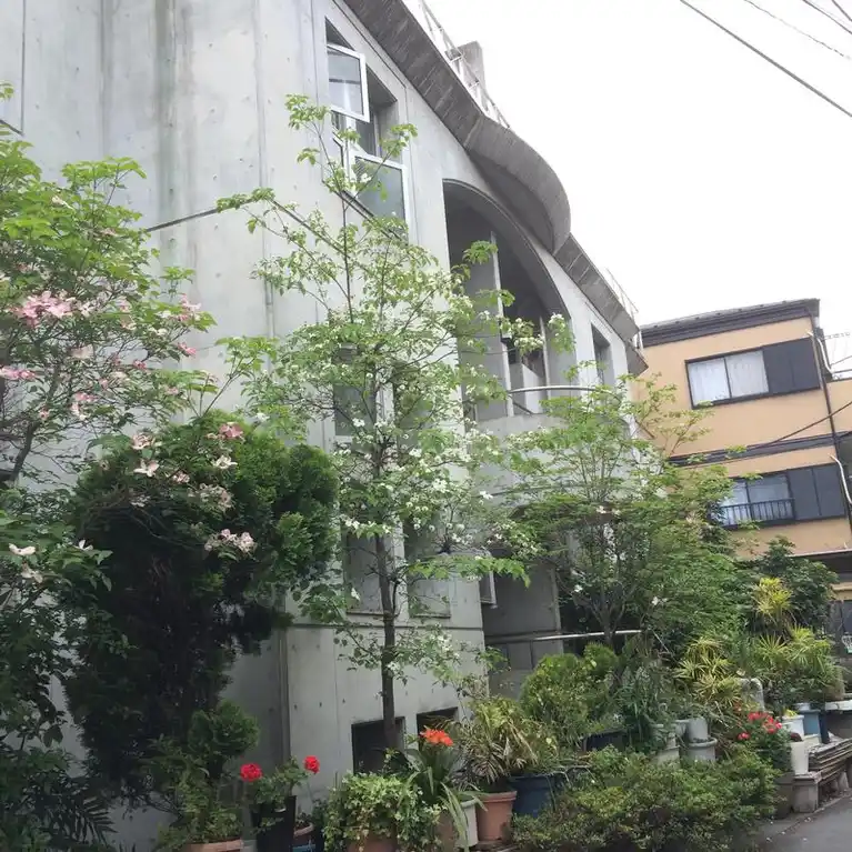 コートハウスタイガー