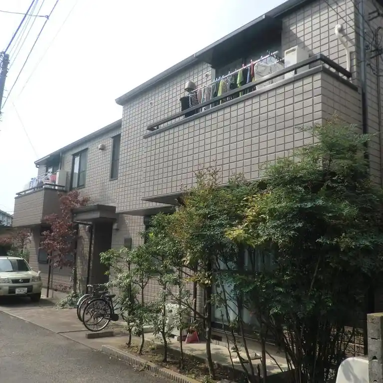 ステラコート