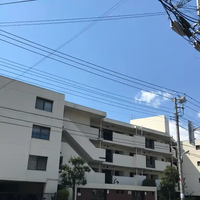 ドミール川口