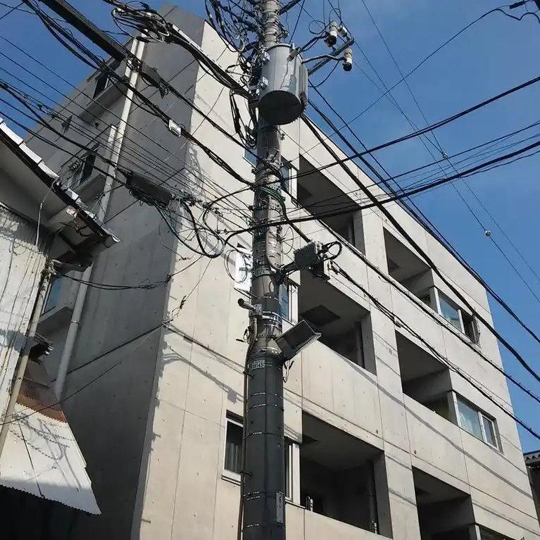 ステラマリス