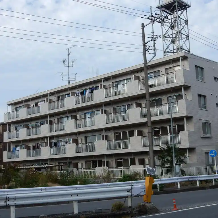 エレガンス小町