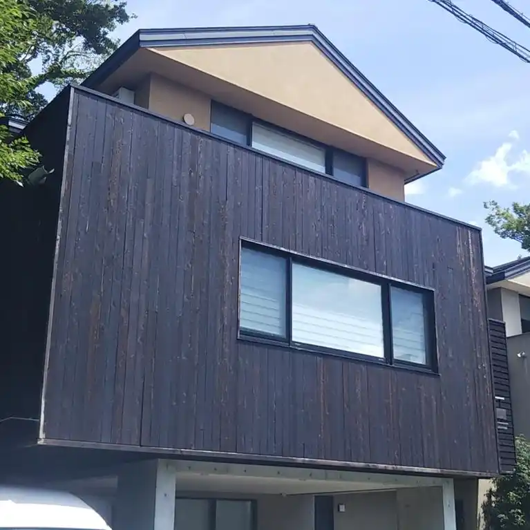 亀甲新は