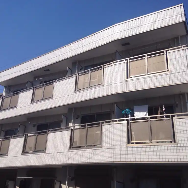 アルドール・ピノ 外観
