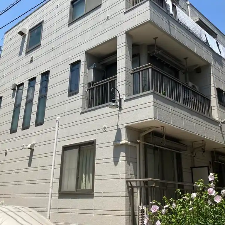 キャベッジホワイト 外観