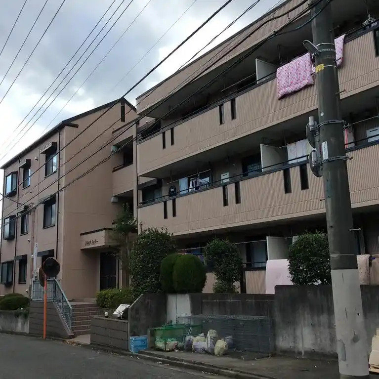 シルクトゥリー
