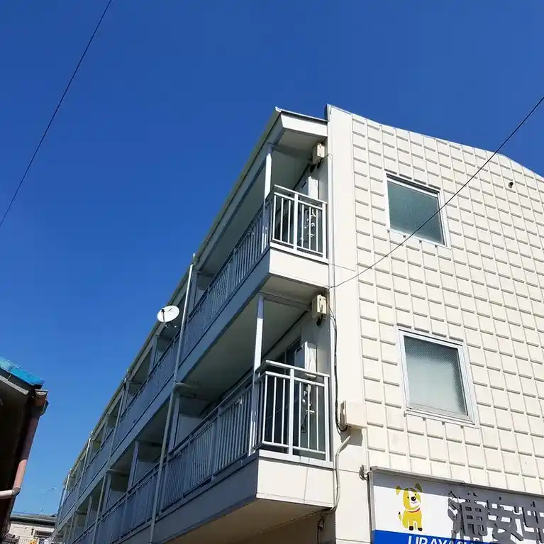ジェイジーハイム