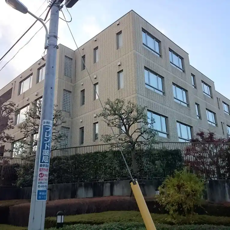 表参道コート
