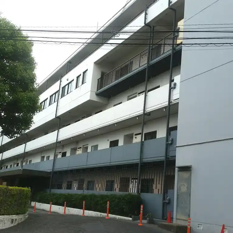 ライズ