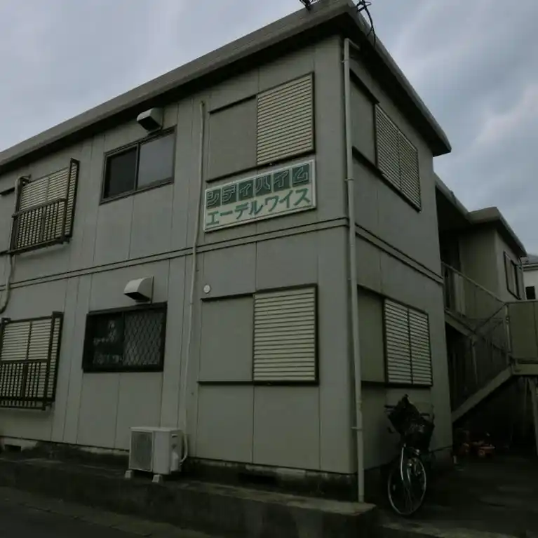 エーデルワイス