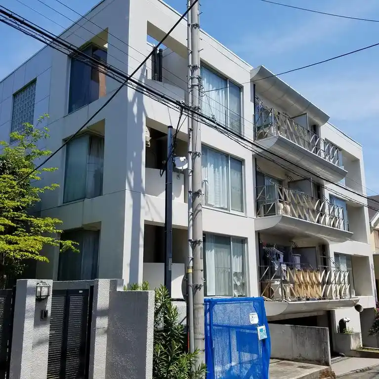 SEEDS藤沢善行
