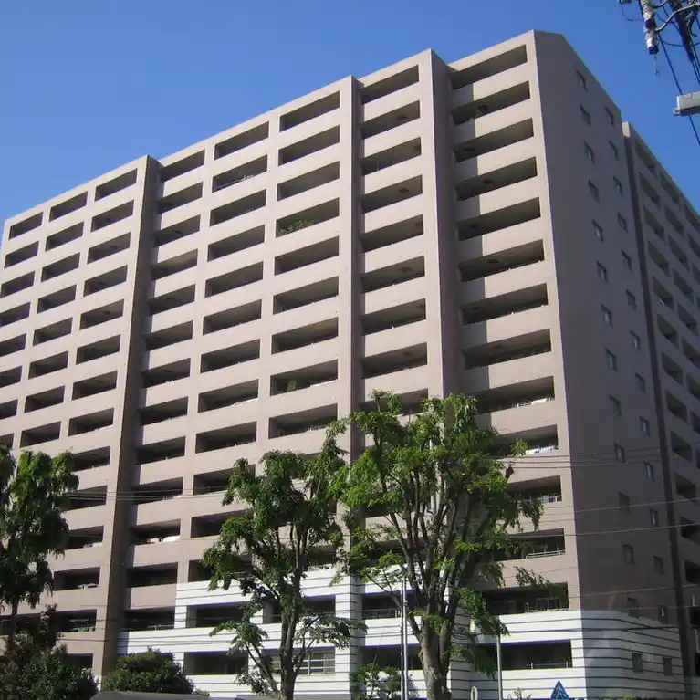 アデニウム新横浜