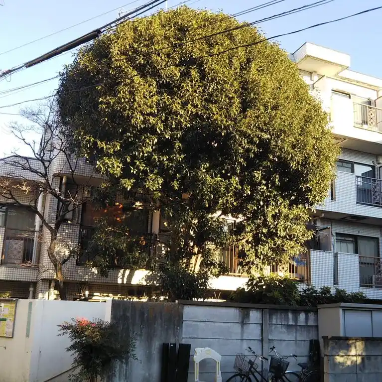 クリスタル笹塚PART1