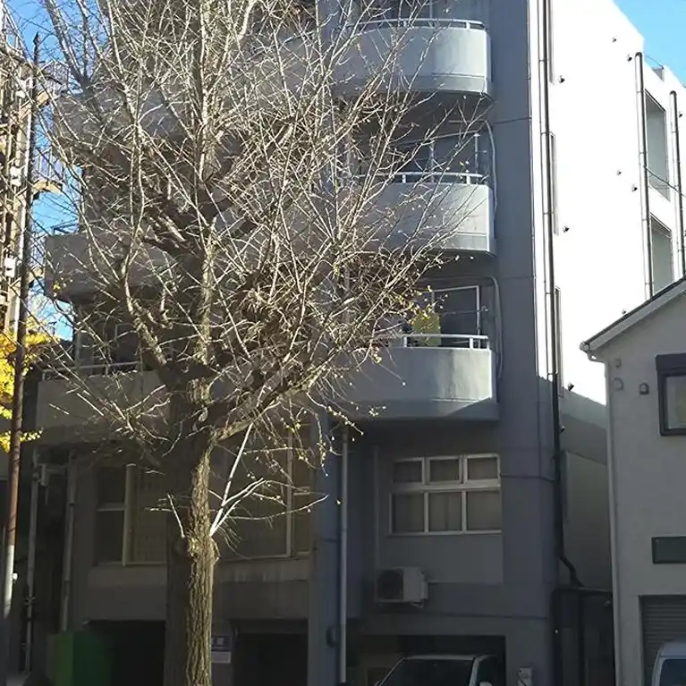 アミール八王子