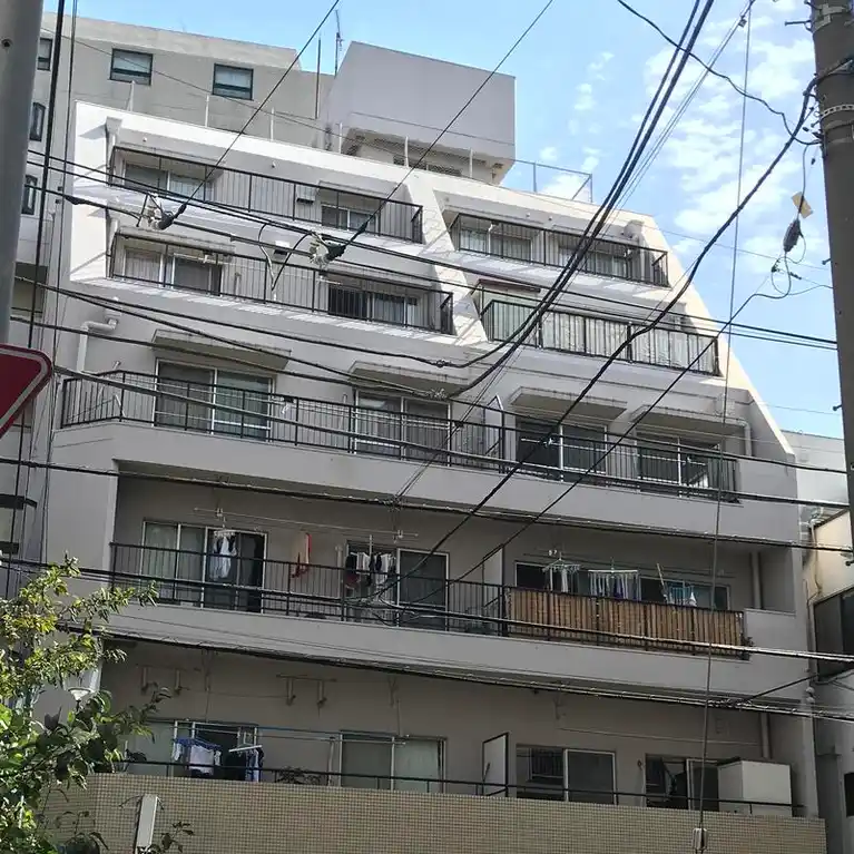 ライオンズマンション西川口第5桃林堂ビル 外観