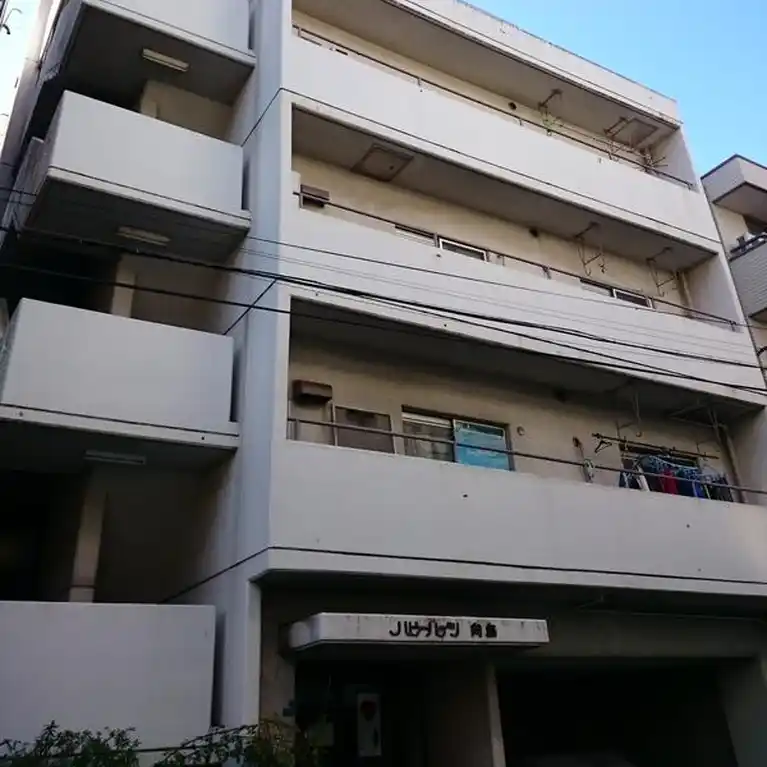 ハピーハイツ向島 外観