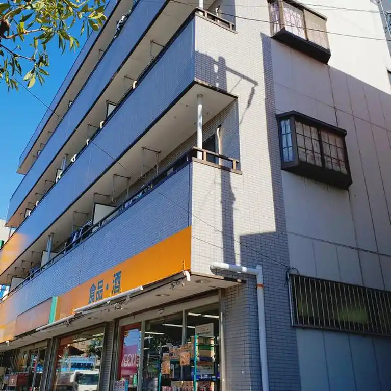 リリーパレスナルシマ 外観