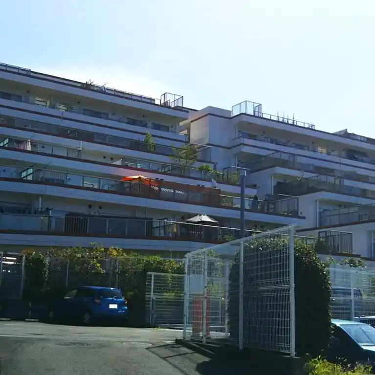 アデニウム玉川学園