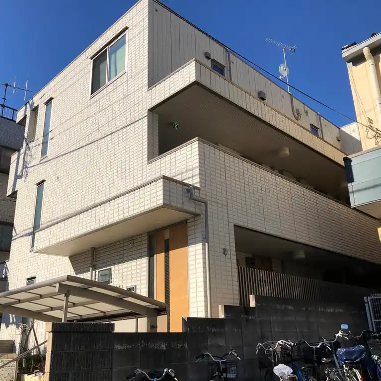 パーシモン