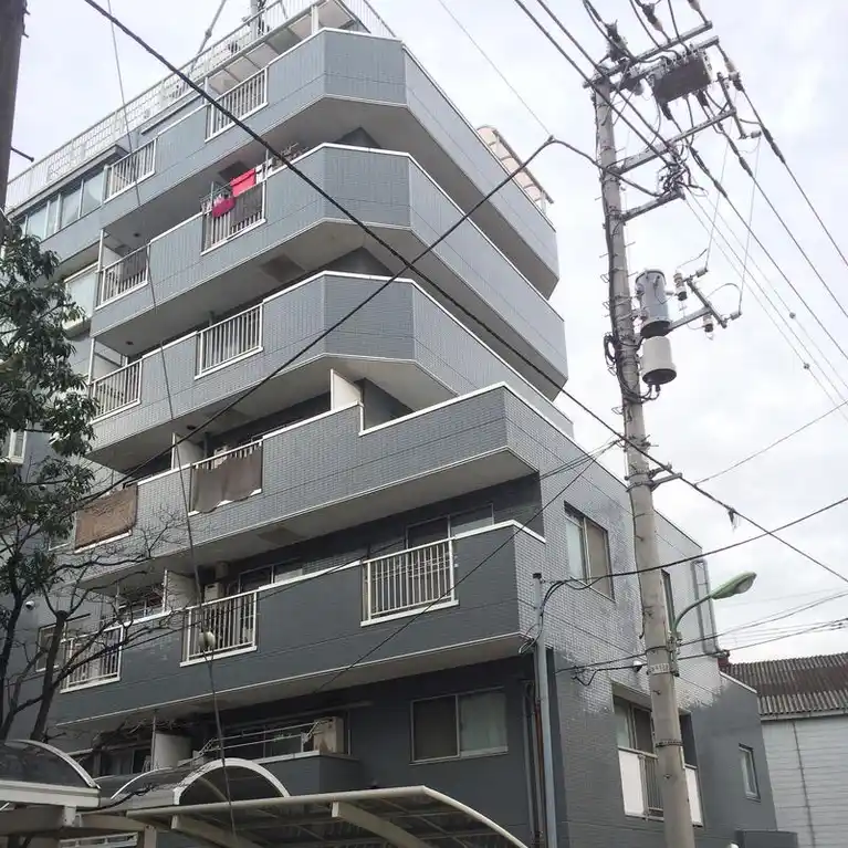 メゾンルフレール