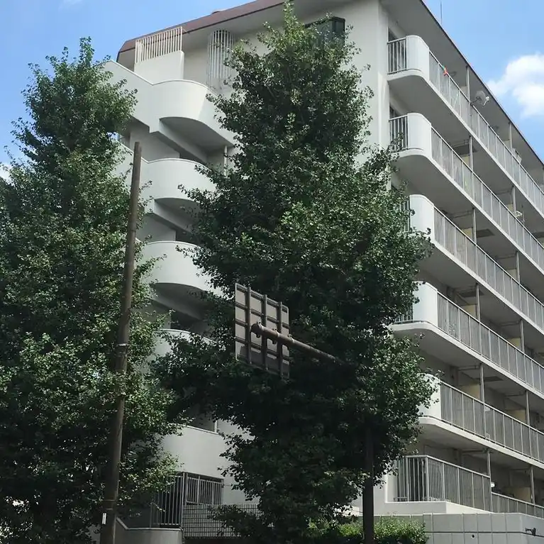 ベルエア新高円寺