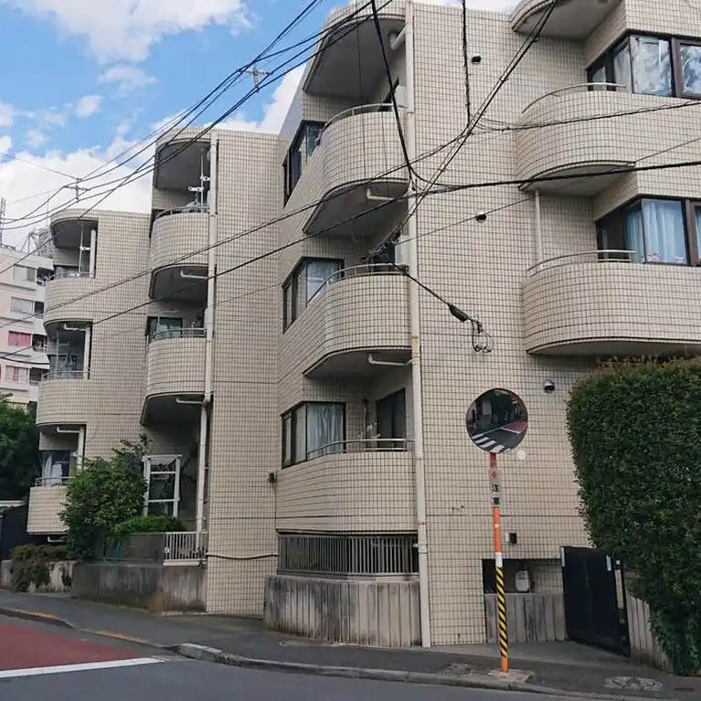 第一フルールド花崎 外観
