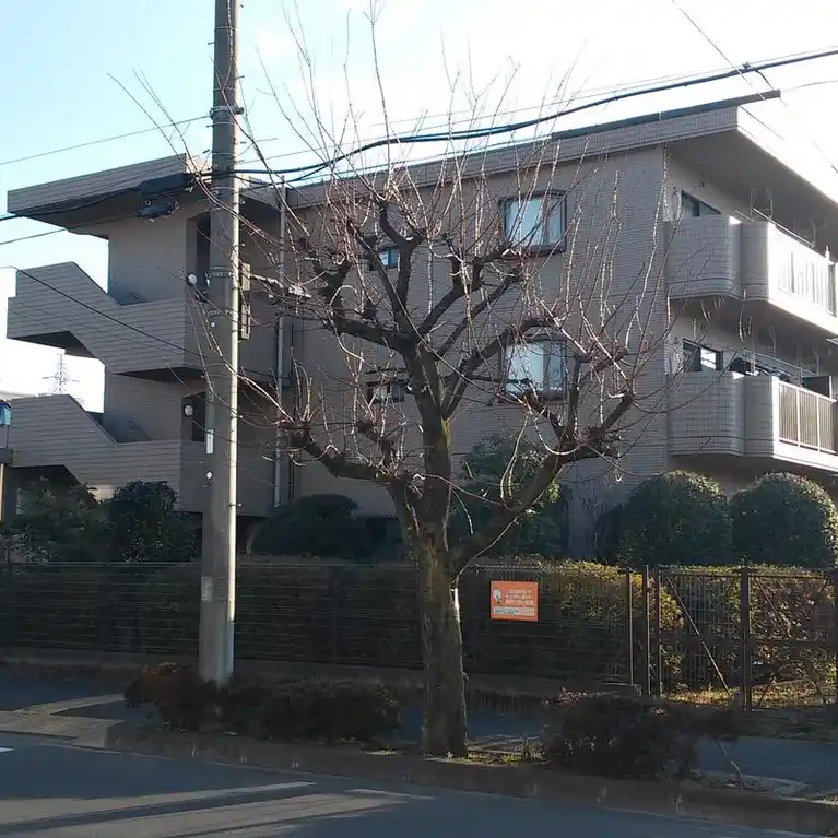 ヴェルドミール