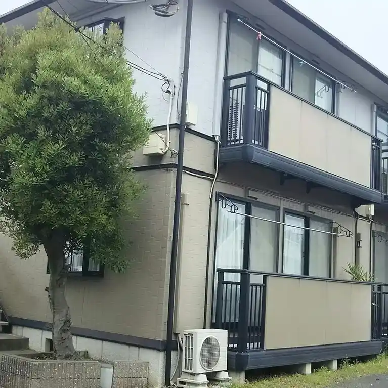 シーサイドトビツル